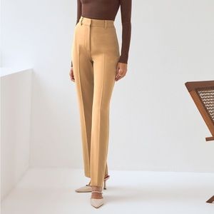 Elegant Tan Women's Pants